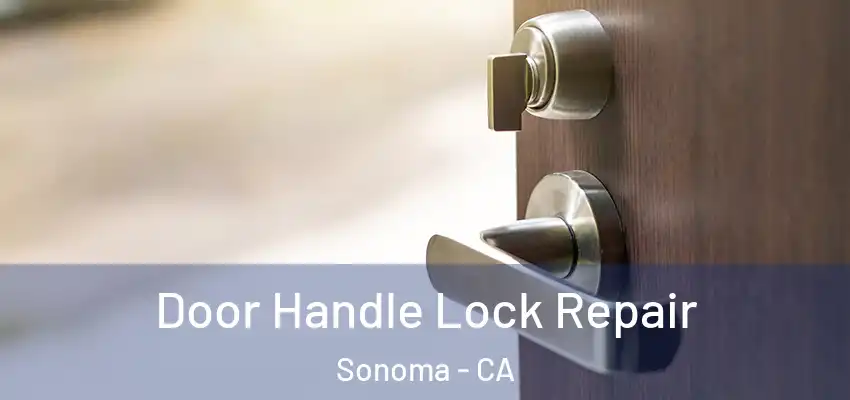 Door Handle Lock Repair Sonoma - CA