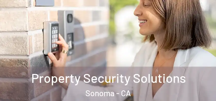 Property Security Solutions Sonoma - CA